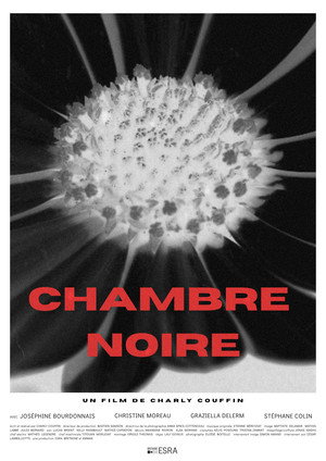 Chambre Noire poszter