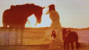 馬と女と犬 háttérkép