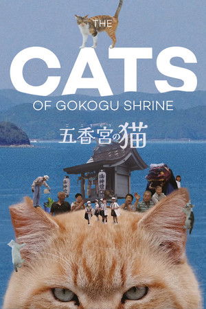 五香宮の猫 poszter