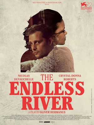 The Endless River poszter