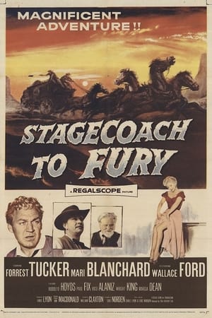 Stagecoach To Fury poszter