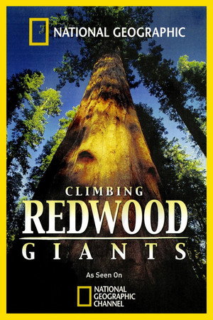 Climbing Redwood Giants poszter