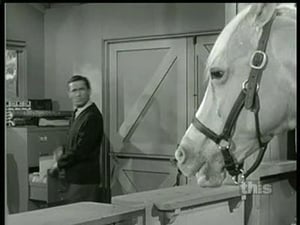 Mister Ed 5. évad Ep.5 5. epizód