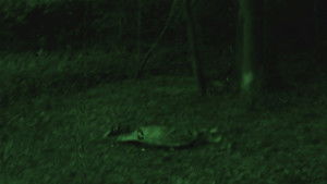 Horror Movie háttérkép