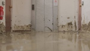 Il tempo del fiume háttérkép