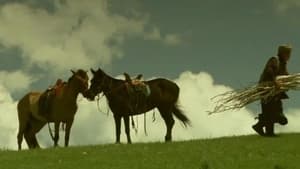 The Horse Trainer háttérkép