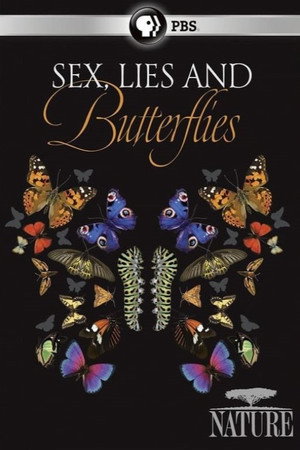 Sex, Lies and Butterflies poszter