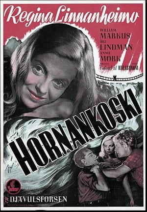 Hornankoski poszter