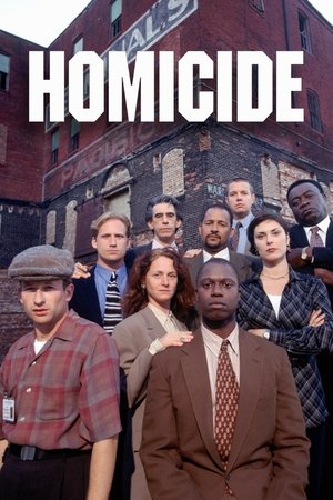 Homicide: Life on the Street poszter