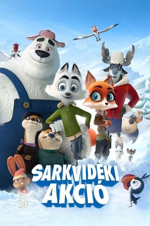 Sarkvidéki akció