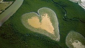 Nature : pour une réconciliation háttérkép