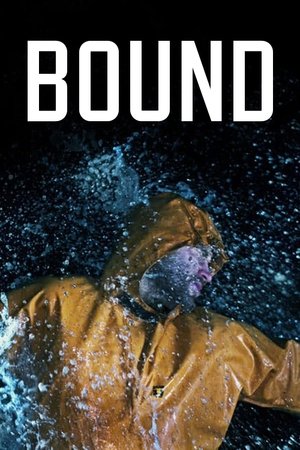 Southwark Stayhouse: Bound poszter