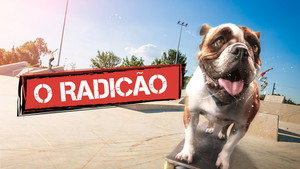 Sk8 Dawg háttérkép