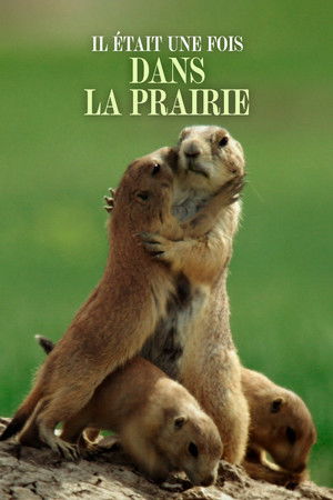 Il était une fois dans la prairie