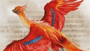 Harry Potter: A History Of Magic háttérkép