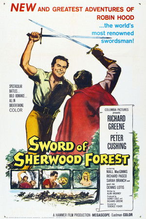 Sword of Sherwood Forest poszter