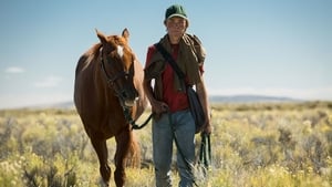 Lean on Pete háttérkép