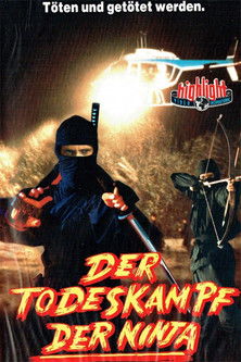 Ninja Project Daredevils poszter