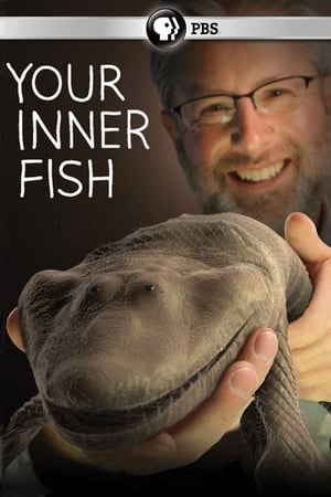 Your Inner Fish