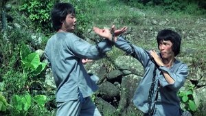 Majom Kung Fu háttérkép