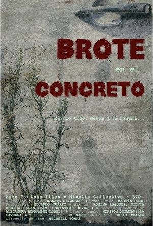 Brote en el concreto poszter