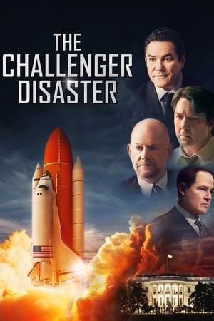 The Challenger Disaster poszter