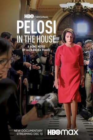 Pelosi in the House poszter