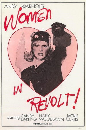 Women in Revolt poszter