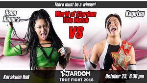 STARDOM TRUE FIGHT 2018 háttérkép