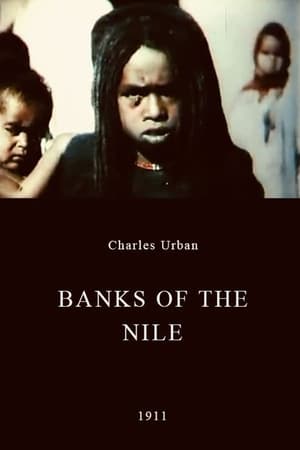 Banks of the Nile poszter