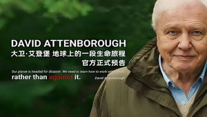 David Attenborough: Életem háttérkép
