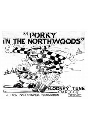 Porky in the North Woods poszter