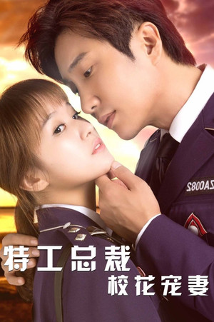 特工总裁校花宠妻 poszter