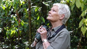 Judi Dench's Wild Borneo Adventure Season 1 Ep.1 1. epizód