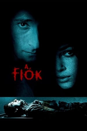 A fiók