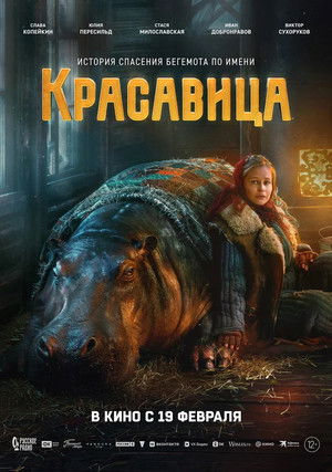 Красавица poszter