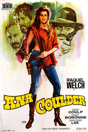 Hannie Caulder poszter