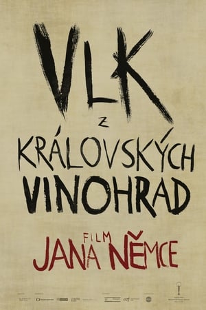 Vlk z královských Vinohrad