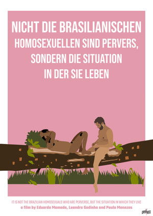 Nicht die brasilianischen Homosexuellen sind pervers, sondern die Situation in der sie leben poszter