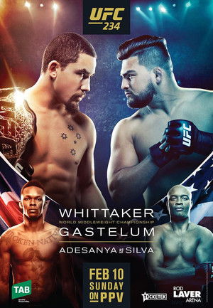 UFC 234: Adesanya vs. Silva poszter