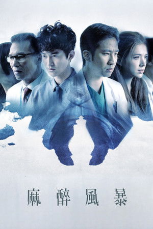 麻醉風暴 poszter