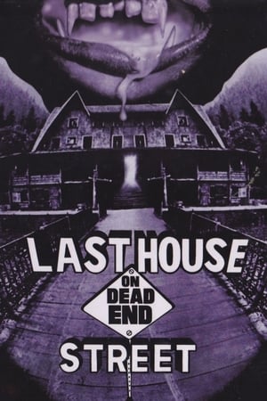 The Last House on Dead End Street poszter