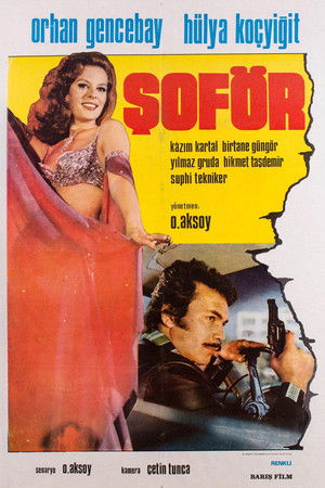 Şoför poszter