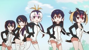 けものフレンズ 1. évad Ep.8 8. epizód