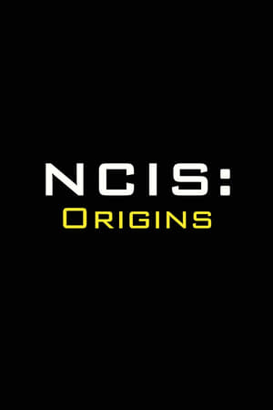 NCIS: Origins poszter