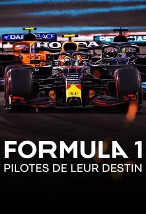 Formula 1: Hajsza a túlélésért poszter