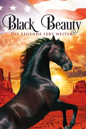 American Black Beauty poszter