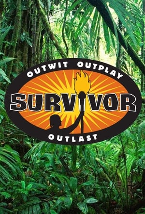 Survivor poszter