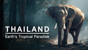 Thaiföld - természet és varázslat kép