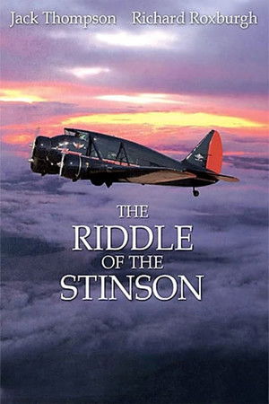 The Riddle of the Stinson poszter